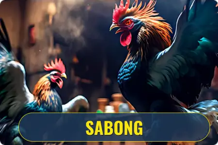 VIPPH Legit Online Casino Platform in the Philippines 2025 57 vipph sabong