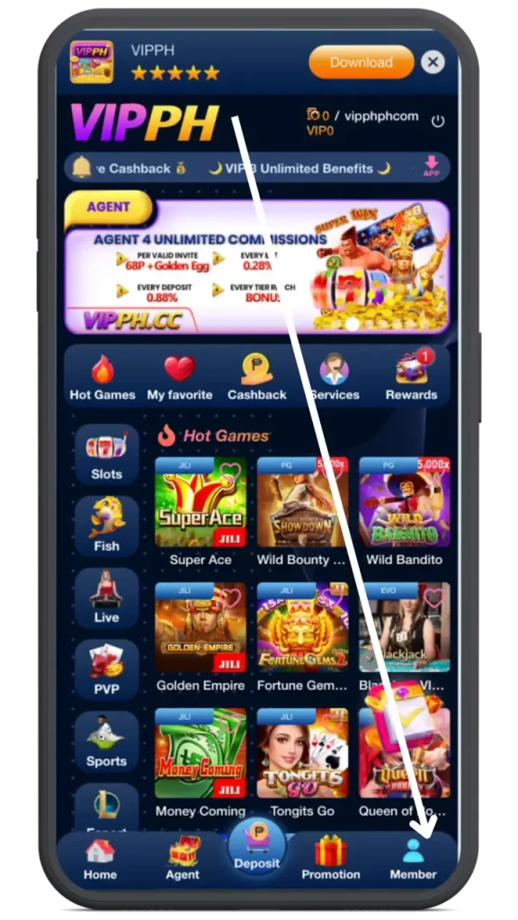 vipph withdraw